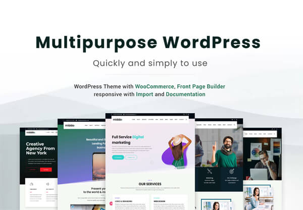 WordPress Theme